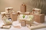  Set quà Stay Cozy - hương Gỗ tuyết tùng, Cam quýt 