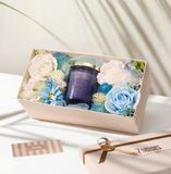  Set quà Camellia - hương hoa dạ lan hương 