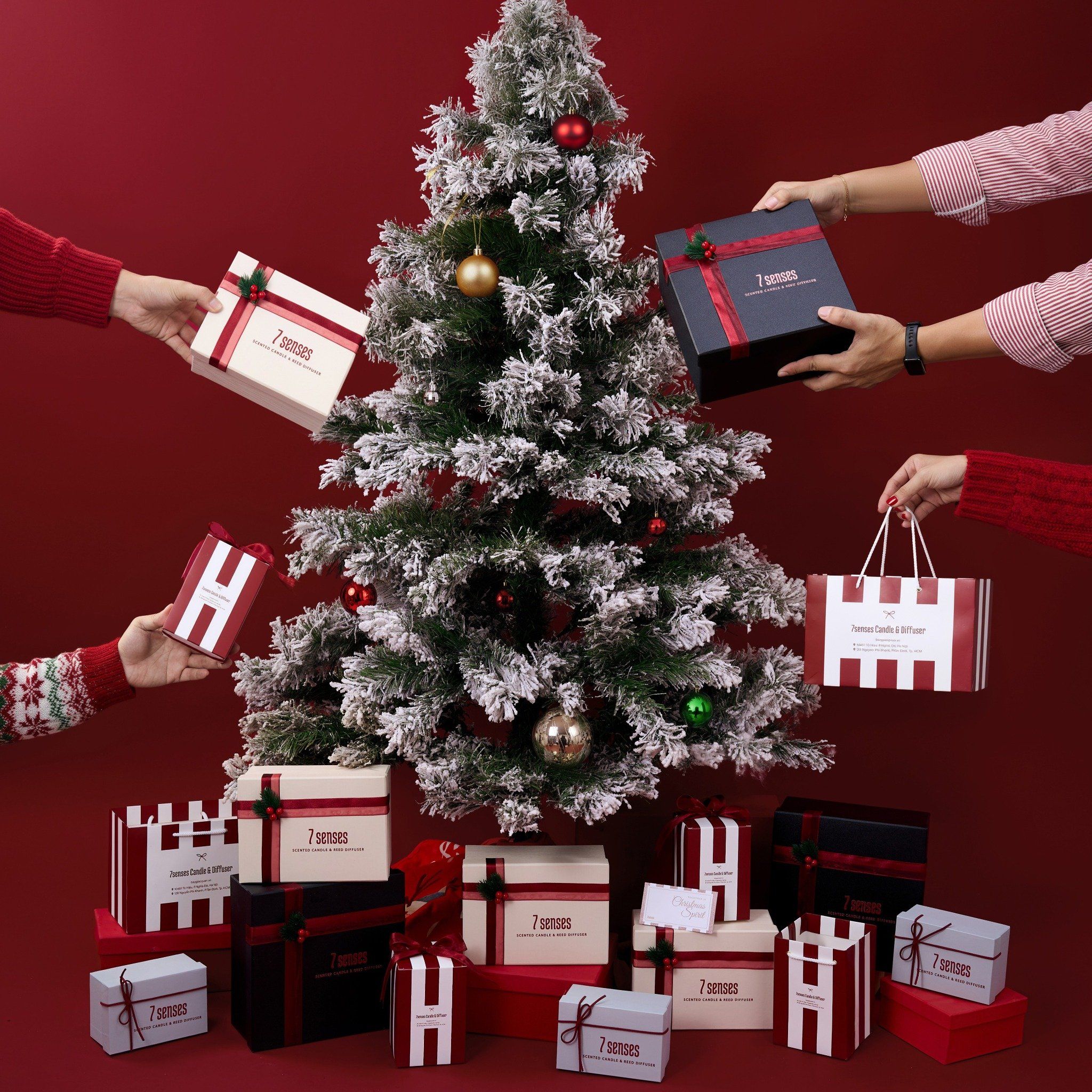  Set quà Giáng sinh Secret Garden – hương gỗ sồi, táo gai 