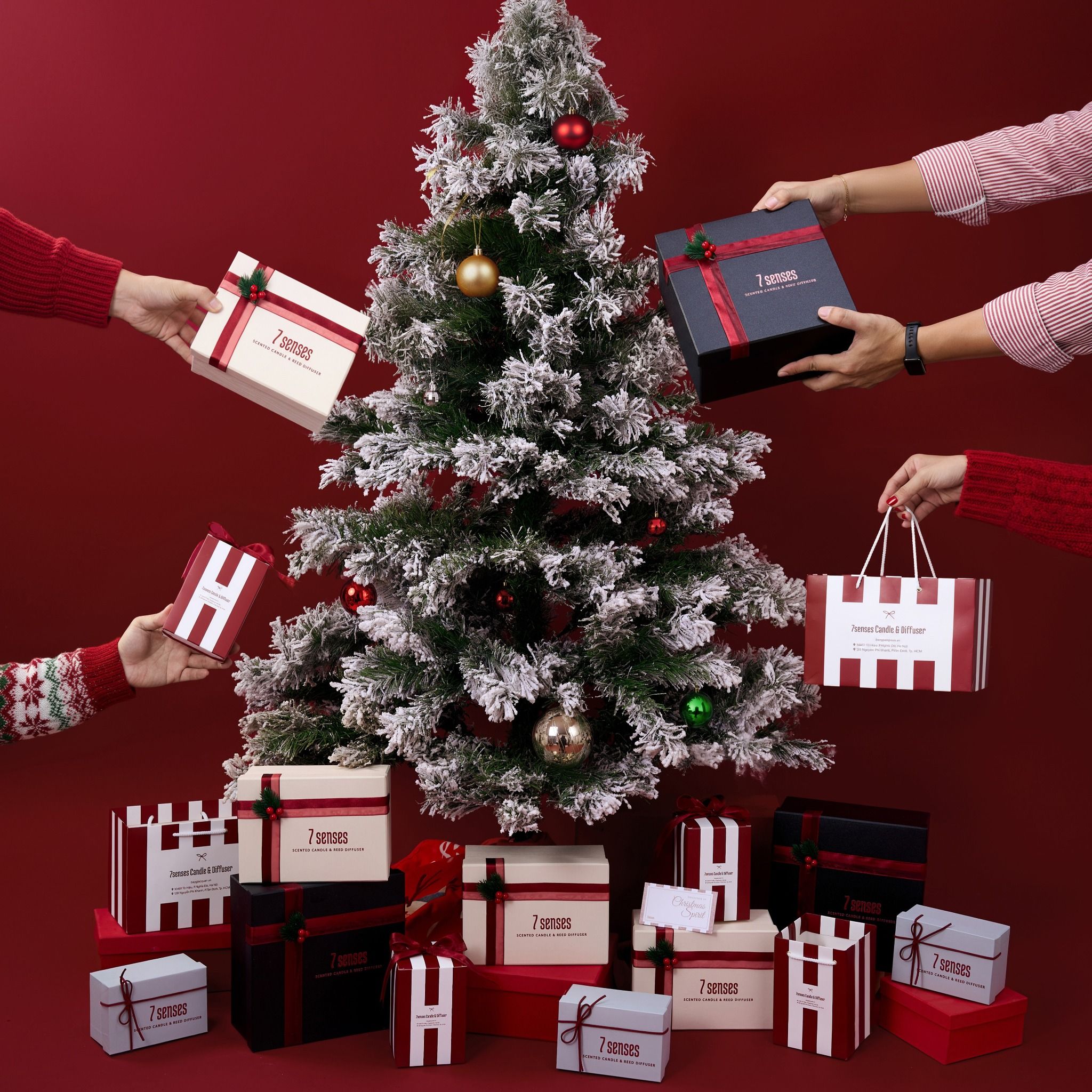  Set quà Giáng sinh Stay Cozy - hương Gỗ tuyết tùng, Cam quýt 