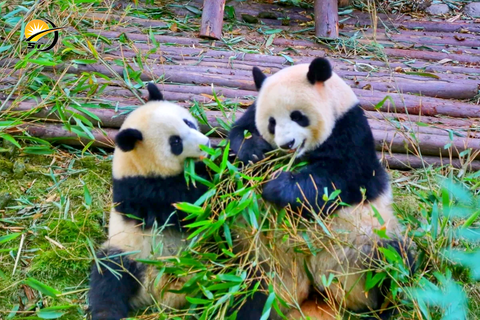 TRÙNG KHÁNH - THÀNH ĐÔ - CỬU TRẠI CÂU