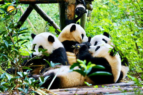 CỬU TRẠI CÂU - LẠC SƠN ĐẠI PHẬT