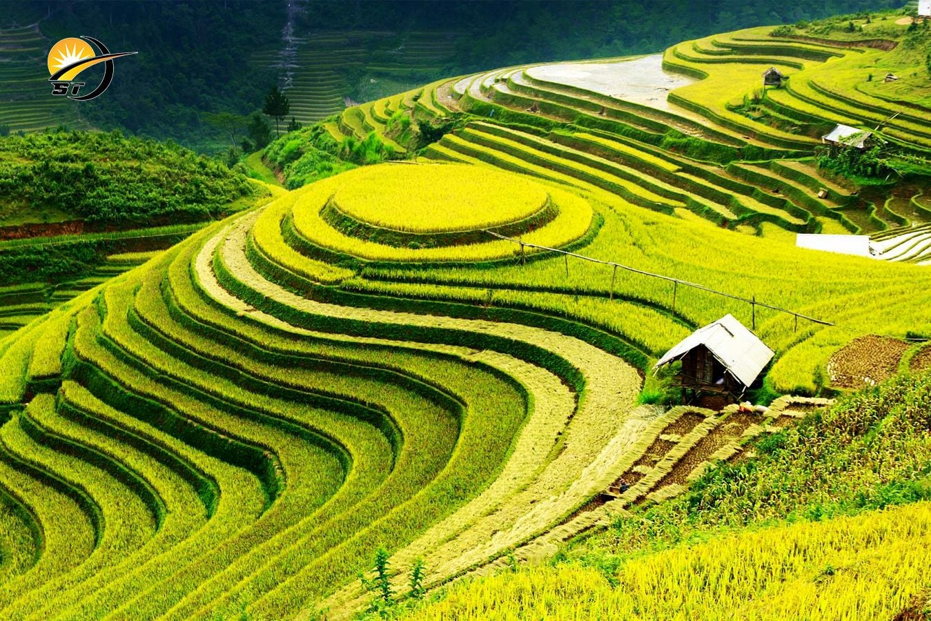 HÀ NỘI - MÙ CANG CHẢI - TRẠM TẤU - CU VAI MÙA LÚA CHÍN