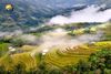 MAI CHÂU - PÙ LUÔNG MÙA LÚA CHÍN