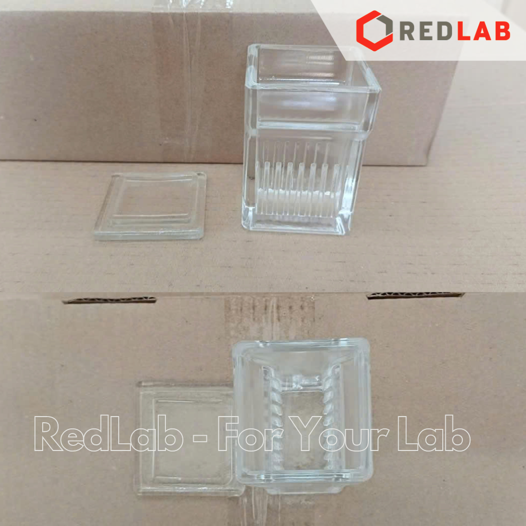 Hộp nhuộm lam kính đứng 10 vị trí DINLAB staining dish Hellendahl type, cho lam 76x26mm, thuỷ tinh soda-lime, có VAT