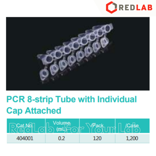 Ống PCR tube 8-strip 0.2ml nắp liền NEST 404001 (hộp 120 x 8-strip tubes & caps) có VAT