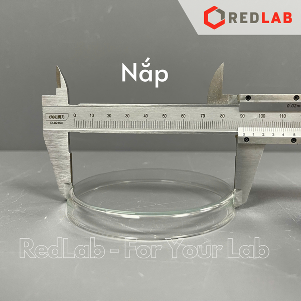Đĩa petri trắng GlassTAO 90x15mm 100x15mm (gồm đĩa và nắp) dùng cho thí nghiệm vi sinh, có VAT