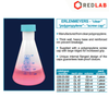 Bình tam giác nhựa PP có nắp vặn ISOLAB 50 100 250 500 1000 ml, polypropylene screw cap erlenmeyers, có VAT