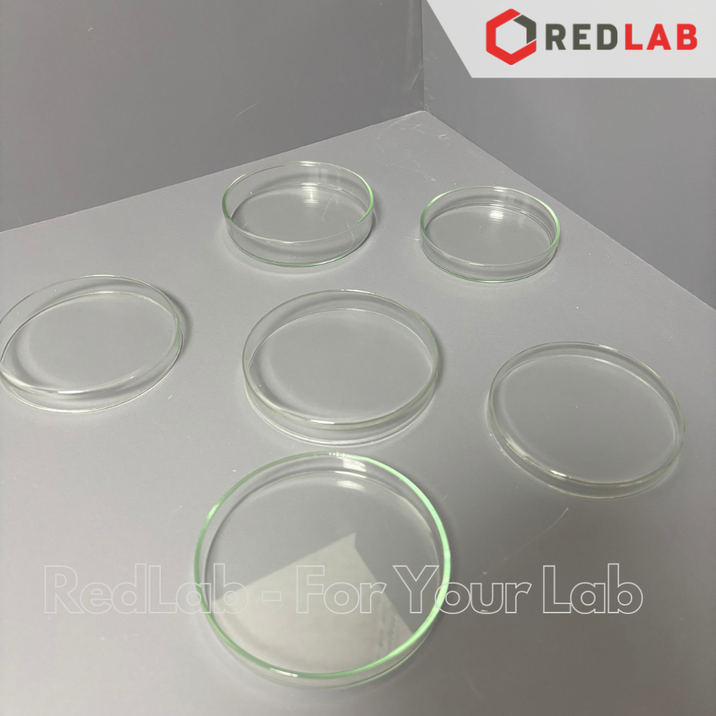 Đĩa petri thủy tinh WERTLAB 80×15 90×15 100×15 100×20 mm, dùng trong thí nghiệm vi sinh, gồm đĩa và nắp, có VAT