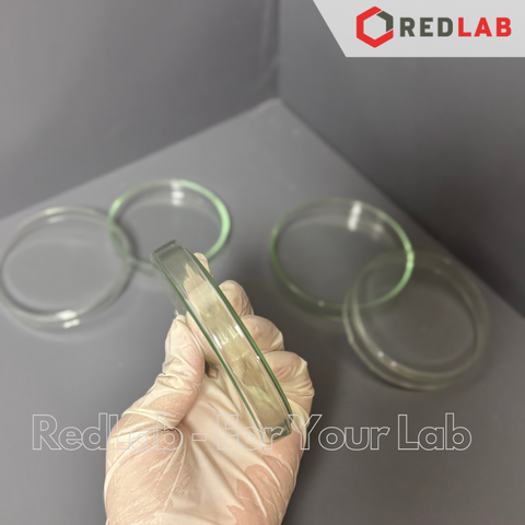 Đĩa petri thủy tinh WERTLAB 80x15 90x15 100x15 100x20 mm, dùng trong thí nghiệm vi sinh, gồm đĩa và nắp, có VAT