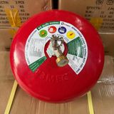  Bình cầu chữa cháy tự động 6kg 83MEC-BQP 