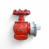  Van chữa cháy DN50 