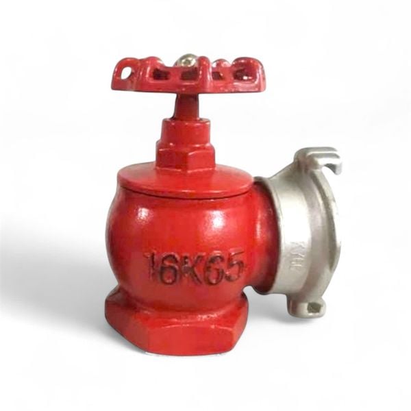  Van chữa cháy DN65 