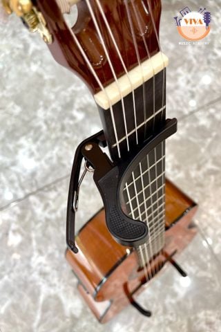 Capo thường (đen)