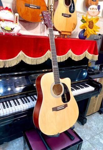 Guitar Acoustic Dallas S41