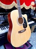 Guitar Acoustic Dallas S41