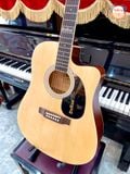 Guitar Acoustic Dallas S41