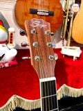 Guitar Acoustic Saiger A6