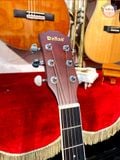 Guitar Acoustic Dallas S41