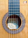 Guitar Classic Gibson