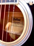 Guitar Acoustic Dallas S41