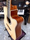 Guitar Acoustic Saiger A6