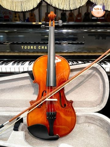Violin Saiger V6