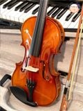 Violin Saiger V6