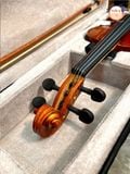 Violin Saiger V6