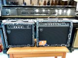 Loa  Amply Dallas DL-30A-Đen họa tiết