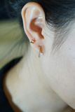 [ancafe-accessories] Hoa tai ER420K-007-VH
