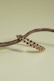 [ancafe-accessories] Nhẫn R250K-006-12-VH