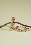 [ancafe-accessories] Nhẫn R550K-001-12-VH