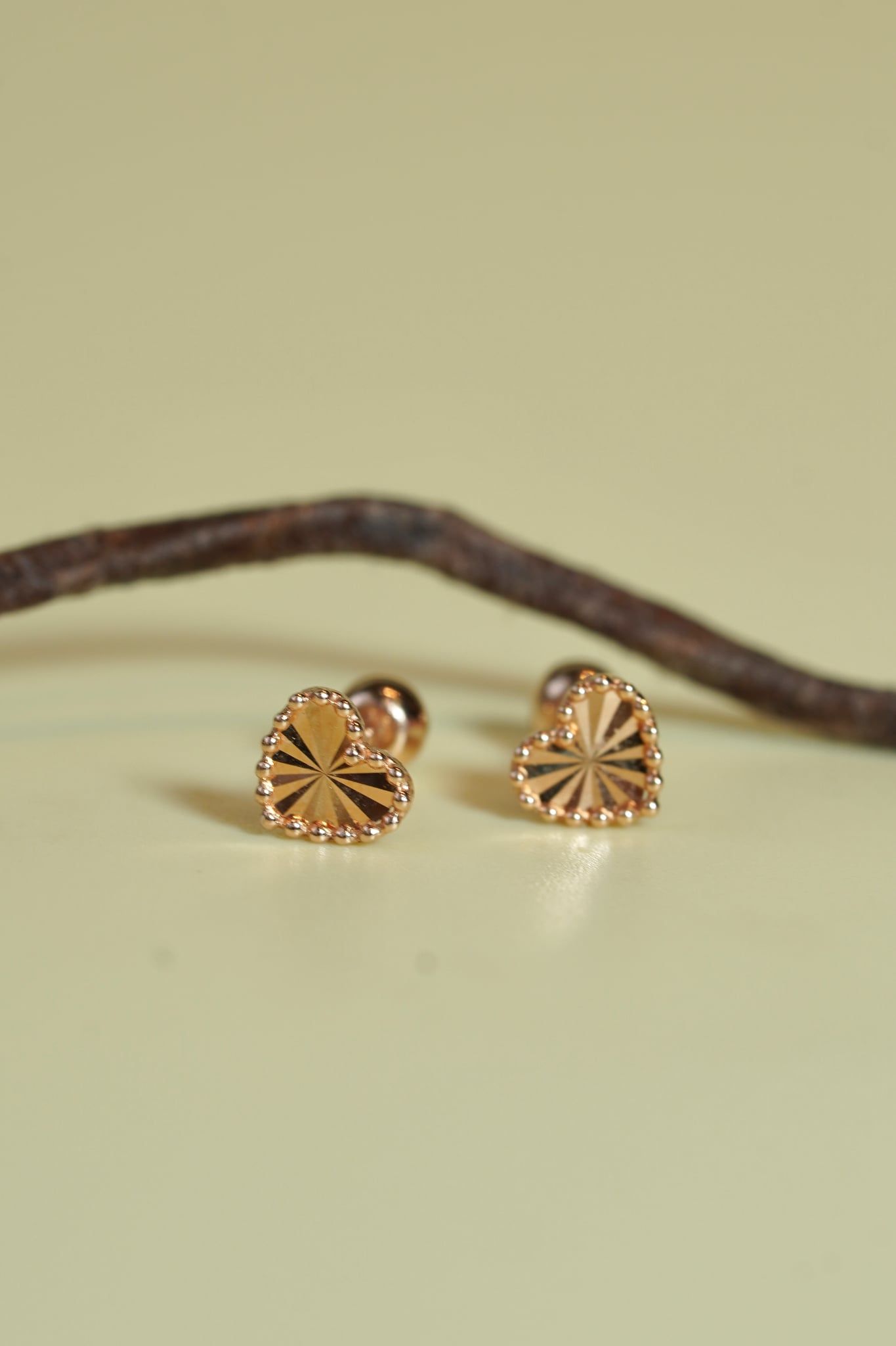 Hoa tai vàng 14k tim trơn họa tiết (ER-GLD-092)