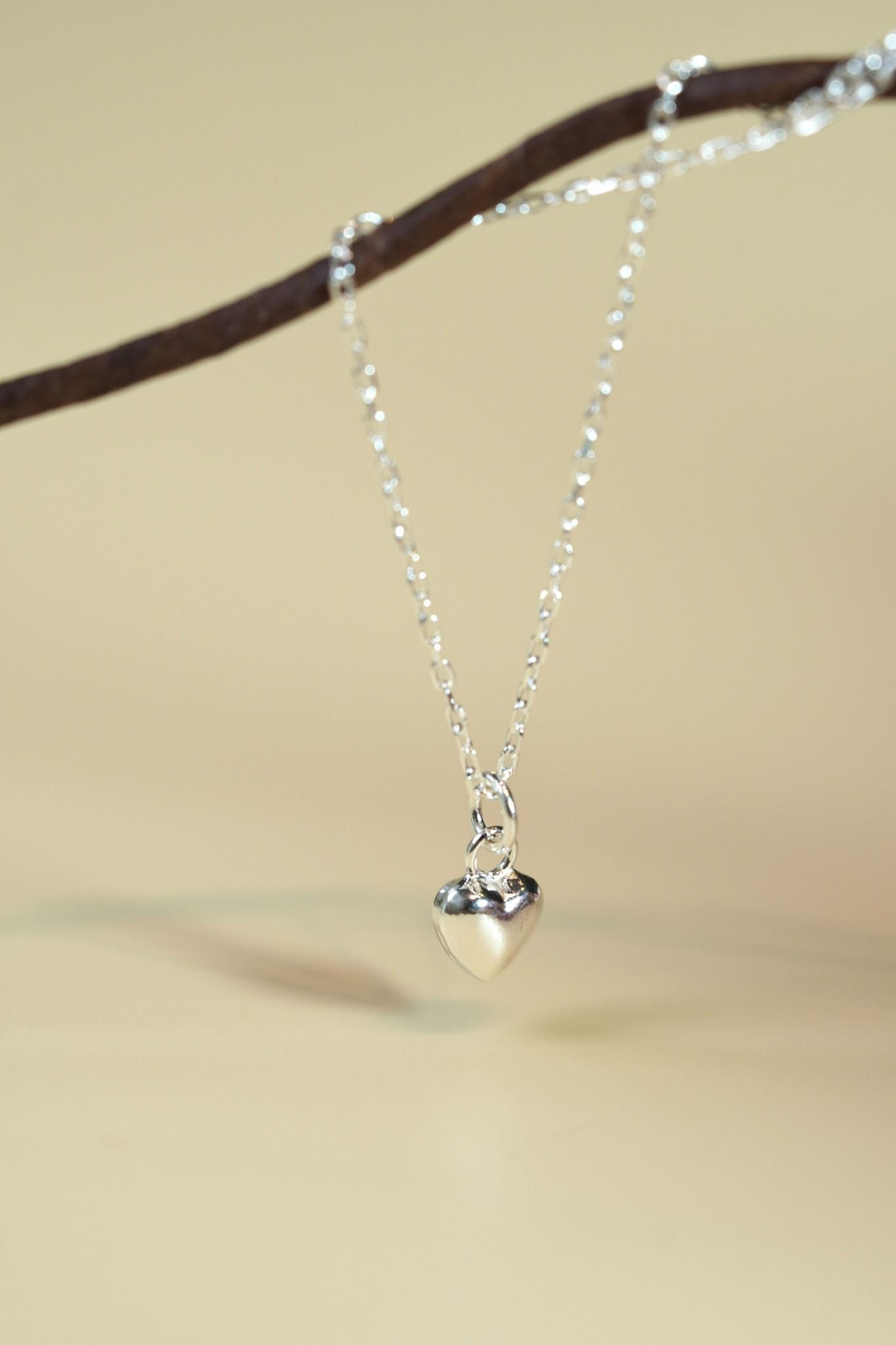 [ancafe-accessories] Dây chuyền NL390K-058-BAC