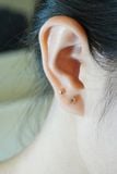 [ancafe-accessories] Hoa tai ER280K-049-VH