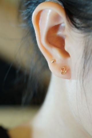  Hoa tai vàng 14K bông hoa tulip (ER-GLD-081) 