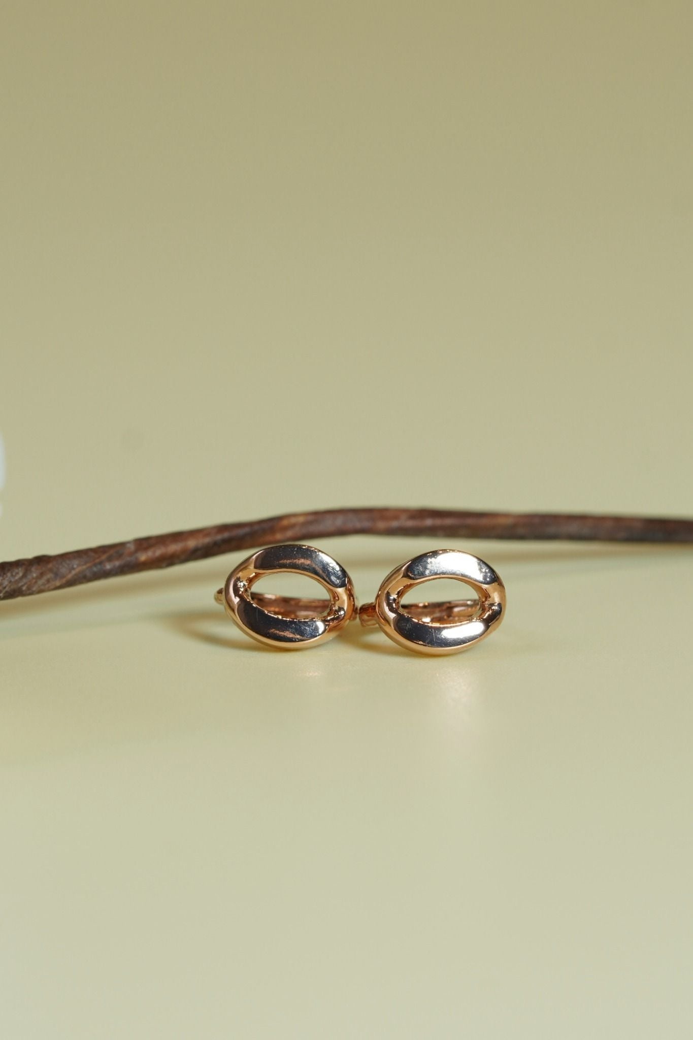 [ancafe-accessories] Hoa tai ER280K-021