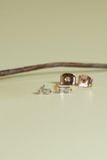 [ancafe-accessories] Hoa tai ER280K-009-VH