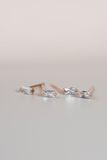 [ancafe-accessories] Hoa tai ER280K-009-VH