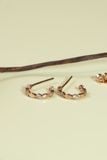 [ancafe-accessories] Hoa tai ER350K-028