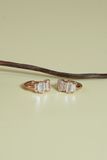 [ancafe-accessories] Hoa tai ER350K-013