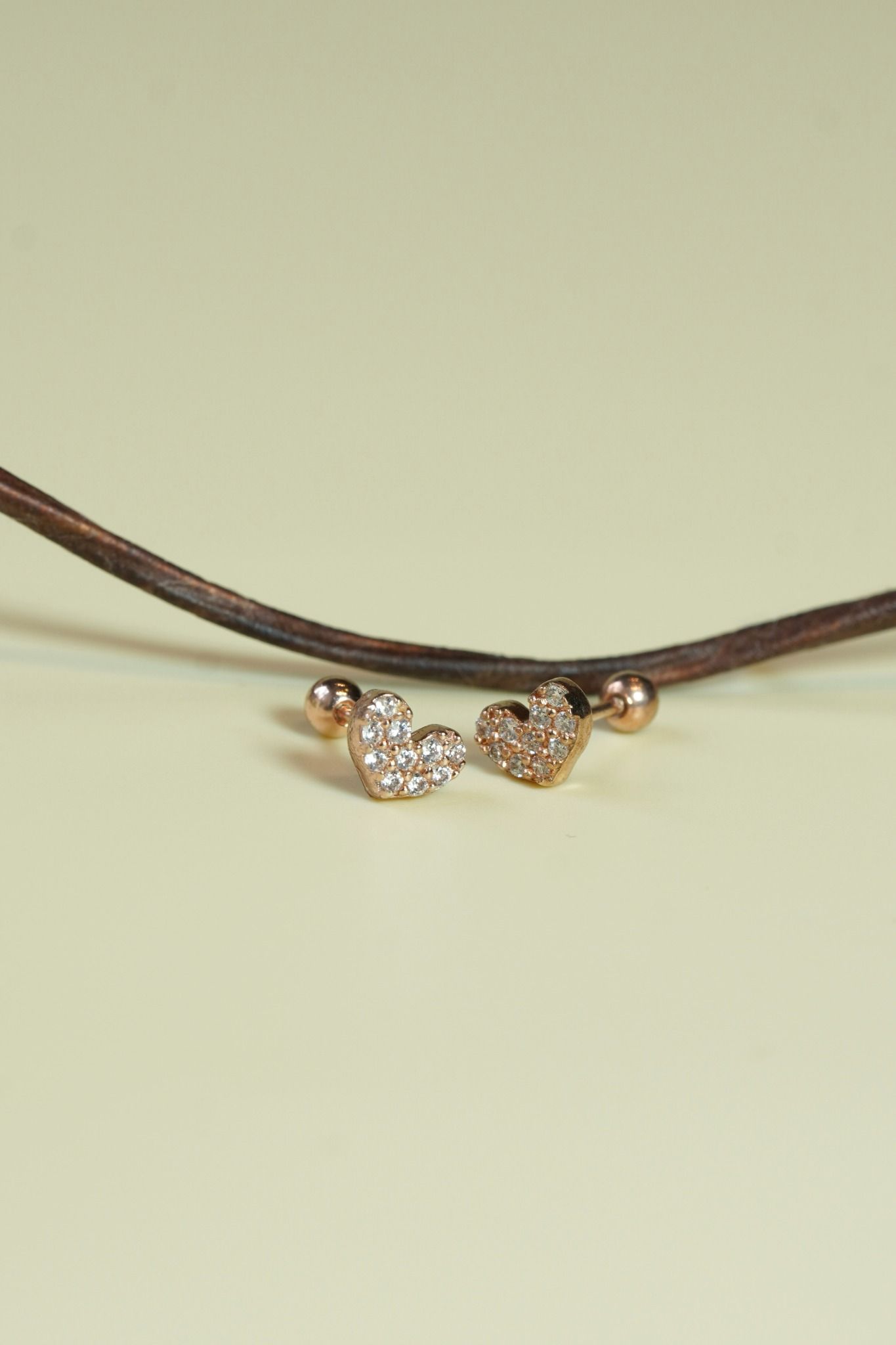 [ancafe-accessories] Hoa tai ER450K-009