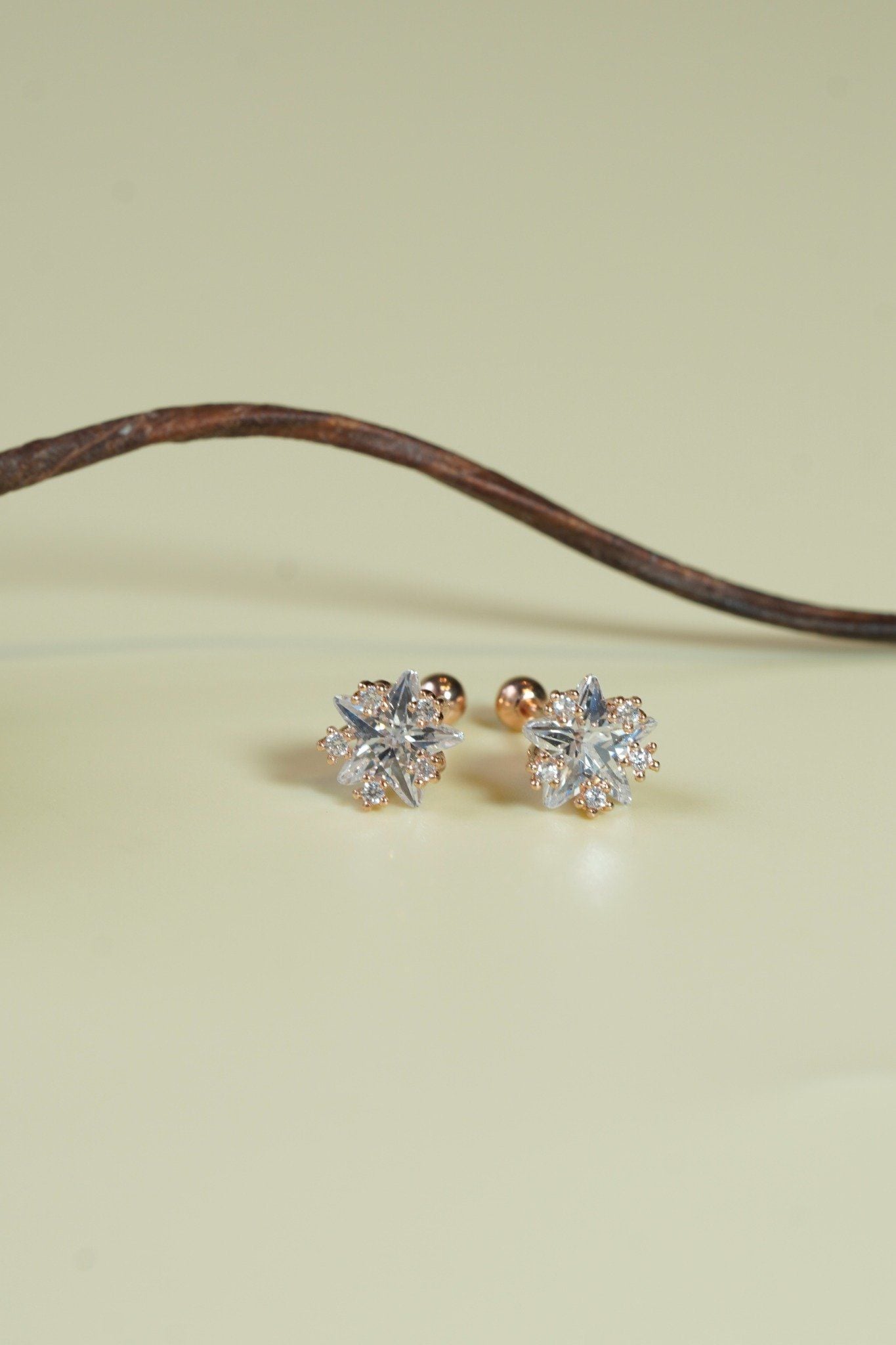 [ancafe-accessories] Hoa tai ER450K-022