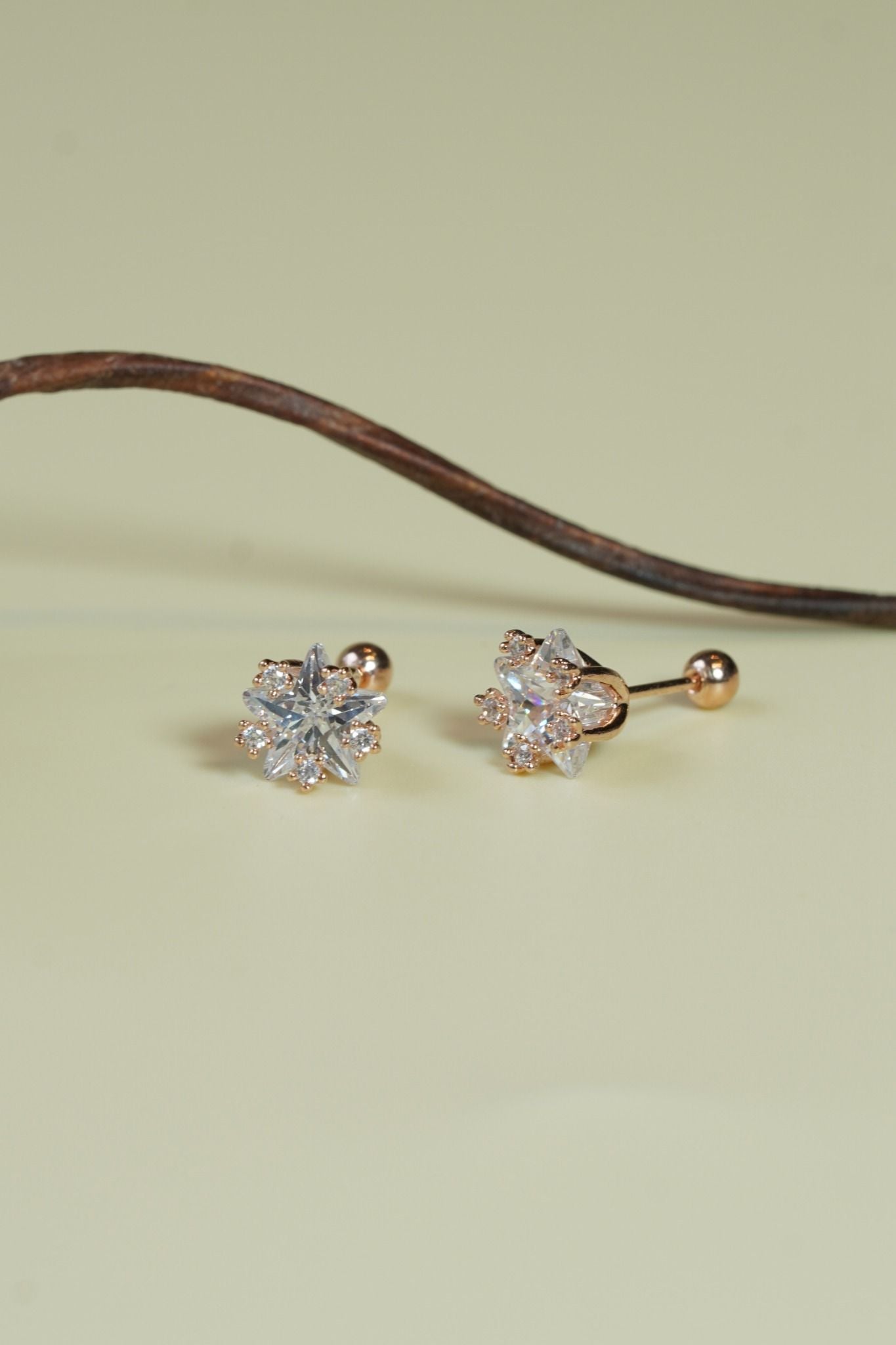 [ancafe-accessories] Hoa tai ER450K-022