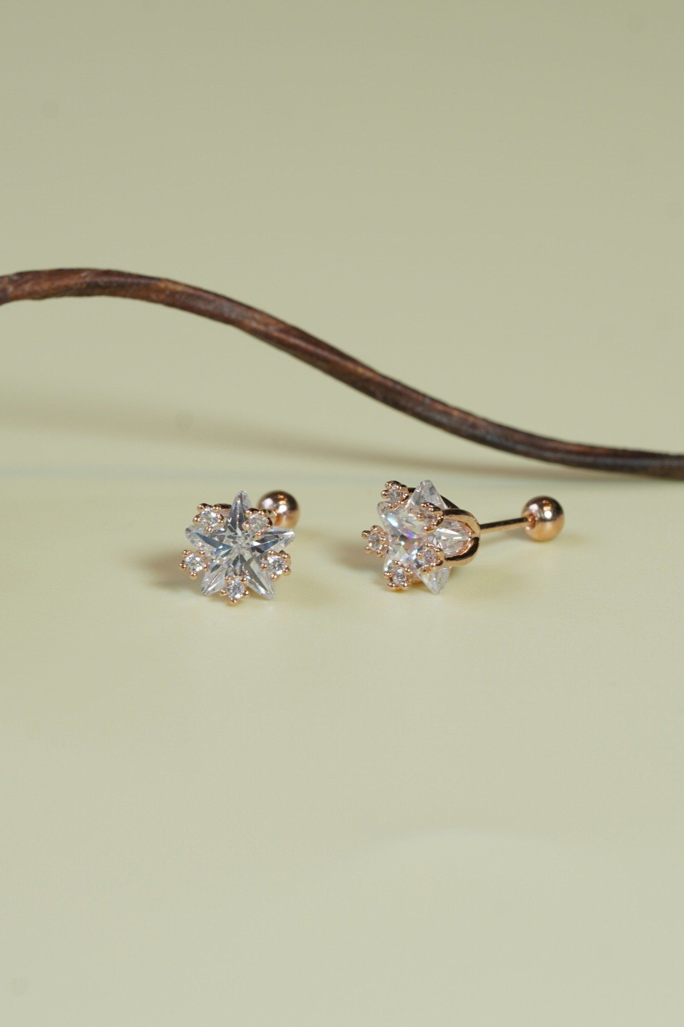 [ancafe-accessories] Hoa tai ER450K-022