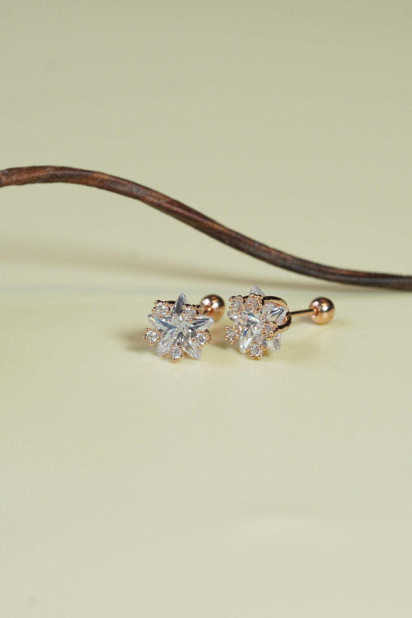 [ancafe-accessories] Hoa tai ER450K-022