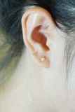 Hoa tai vàng 14k nơ xinh (ER-GLD-071)