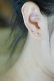 Hoa tai vàng 14k ngoặc (ER-GLD-068)
