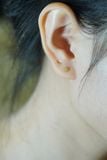 Hoa tai vàng 14k hoa (ER-GLD-038)
